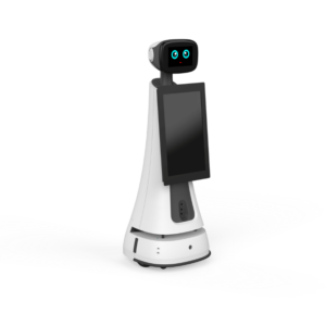 Welcome and Intelligent Voice-Guided Tour Robot
