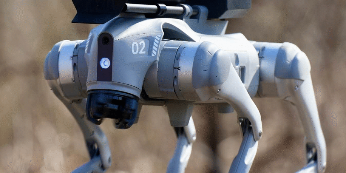 1c3a56bf-a0de-4b7e-b739-b6730d89c133