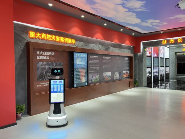 reception robot functions reception robot functions