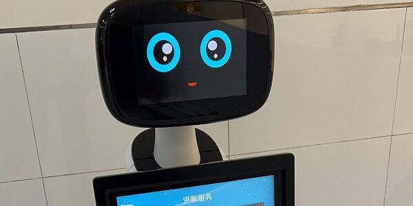 Categories of Service Robots
